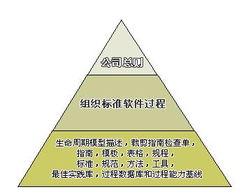 CMMI实施 组织体系框架和流程模型